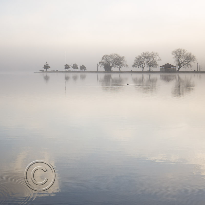 The Fog Lifts